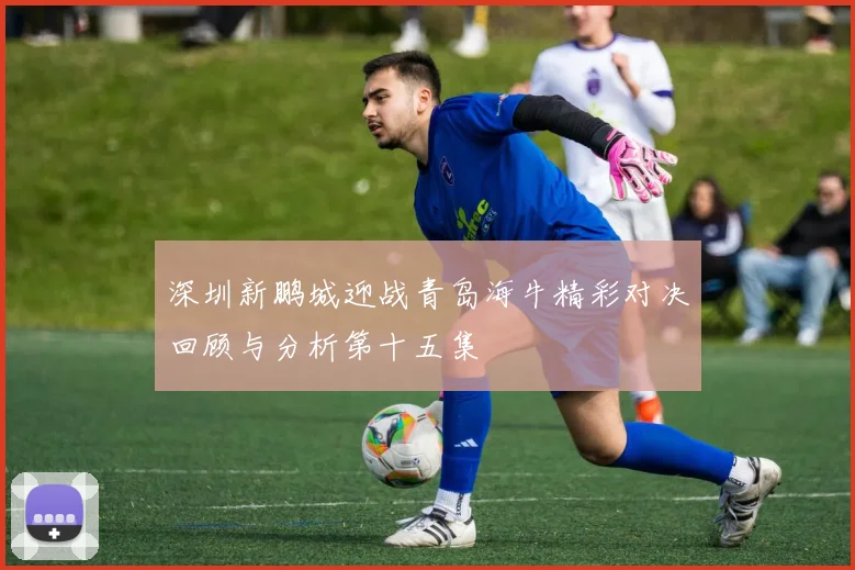 深圳新鹏城迎战青岛海牛精彩对决回顾与分析第十五集