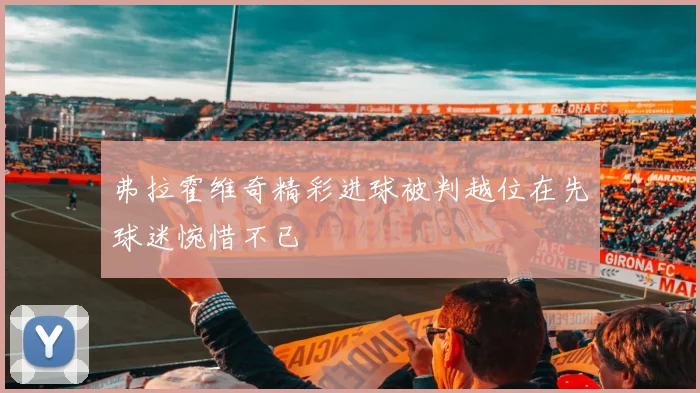 弗拉霍维奇精彩进球被判越位在先球迷惋惜不已